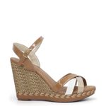 235411-1041-camel_2