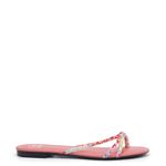 225429-436coral_3