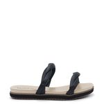 228321-1445negro_2.jpg