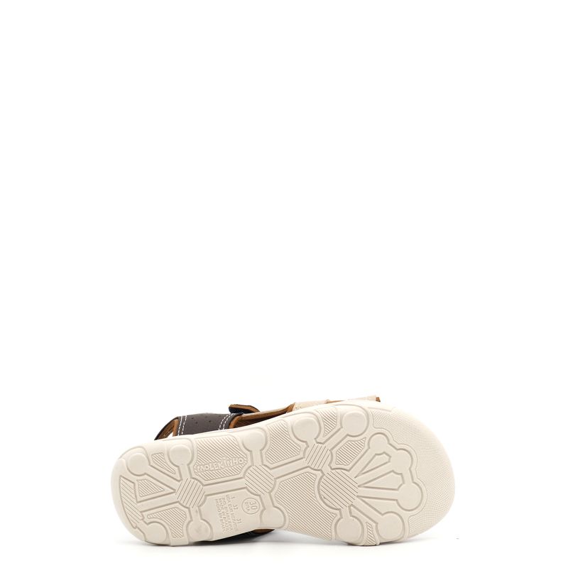 222400-139caramelo_4.jpg