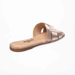 Y8041.0001-ROSE_3-min