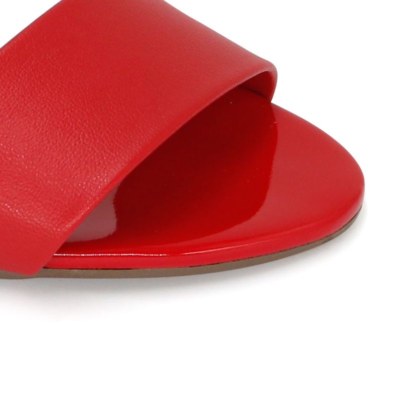 245259-805-ROJO_10