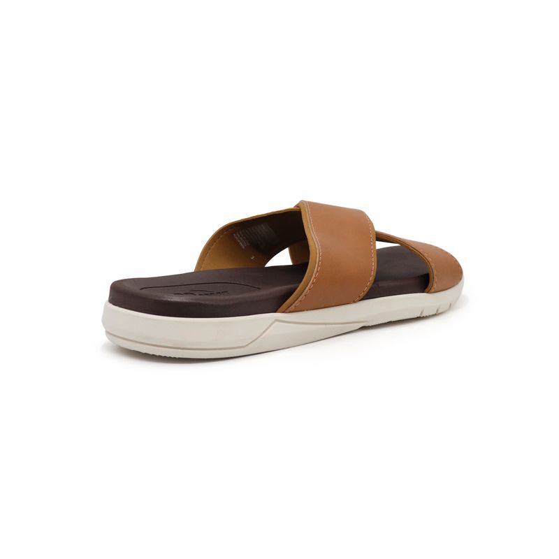 2282-101Q2-CAMEL_8