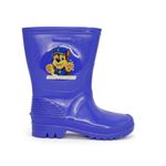 25Q3.5PW003-AZUL_2